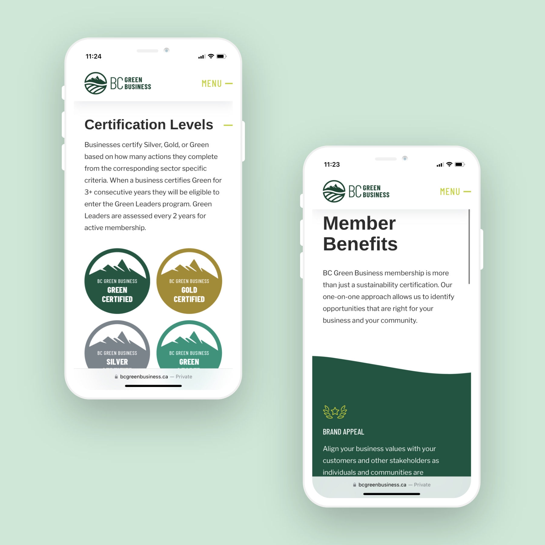 Website graphic design showcasing the responsive mobile layout for BC Green Business, designed and developed by Array.